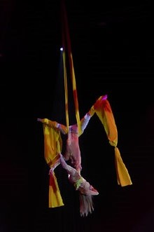 7a edici&oacute; del Festival Internacional de Circ Elefant d'Or 2018 a la Devesa de Girona