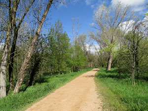 L'itinerari del Ter. Ruta seguint el curs del riu Ter des del pont de la Barca fins el Pont Major