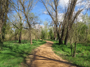 L'itinerari del Ter. Ruta seguint el curs del riu Ter des del pont de la Barca fins el Pont Major