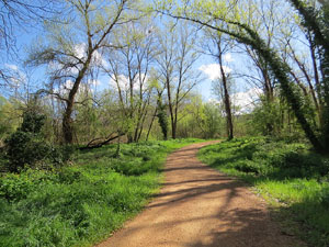 L'itinerari del Ter. Ruta seguint el curs del riu Ter des del pont de la Barca fins el Pont Major