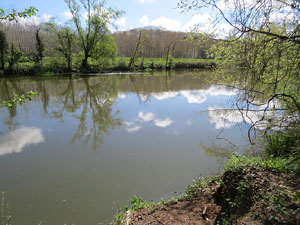 L'itinerari del Ter. Ruta seguint el curs del riu Ter des del pont de la Barca fins el Pont Major