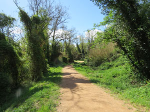 L'itinerari del Ter. Ruta seguint el curs del riu Ter des del pont de la Barca fins el Pont Major