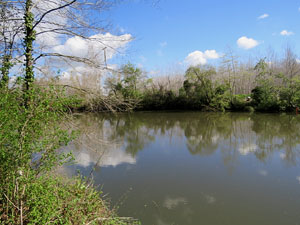L'itinerari del Ter. Ruta seguint el curs del riu Ter des del pont de la Barca fins el Pont Major