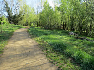 L'itinerari del Ter. Ruta seguint el curs del riu Ter des del pont de la Barca fins el Pont Major