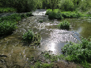 L'itinerari del Ter. Ruta seguint el curs del riu Ter des del pont de la Barca fins el Pont Major