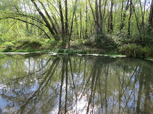 L'itinerari del Ter. Ruta seguint el curs del riu Ter des del pont de la Barca fins el Pont Major