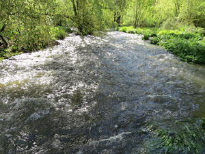 L'itinerari del Ter. Ruta seguint el curs del riu Ter des del pont de la Barca fins el Pont Major