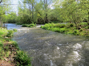 L'itinerari del Ter. Ruta seguint el curs del riu Ter des del pont de la Barca fins el Pont Major