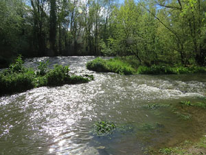 L'itinerari del Ter. Ruta seguint el curs del riu Ter des del pont de la Barca fins el Pont Major