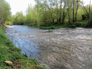 L'itinerari del Ter. Ruta seguint el curs del riu Ter des del pont de la Barca fins el Pont Major