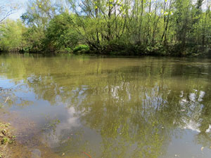 L'itinerari del Ter. Ruta seguint el curs del riu Ter des del pont de la Barca fins el Pont Major