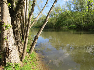 L'itinerari del Ter. Ruta seguint el curs del riu Ter des del pont de la Barca fins el Pont Major