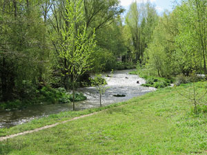 L'itinerari del Ter. Ruta seguint el curs del riu Ter des del pont de la Barca fins el Pont Major