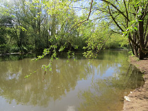 L'itinerari del Ter. Ruta seguint el curs del riu Ter des del pont de la Barca fins el Pont Major