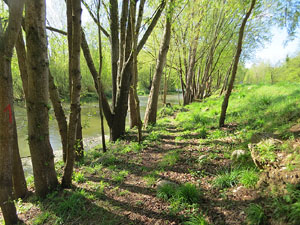 L'itinerari del Ter. Ruta seguint el curs del riu Ter des del pont de la Barca fins el Pont Major