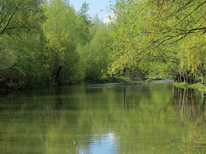 L'itinerari del Ter. Ruta seguint el curs del riu Ter des del pont de la Barca fins el Pont Major