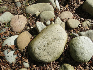 L'itinerari del Ter. Ruta seguint el curs del riu Ter des del pont de la Barca fins el Pont Major