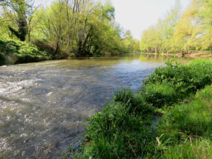 L'itinerari del Ter. Ruta seguint el curs del riu Ter des del pont de la Barca fins el Pont Major