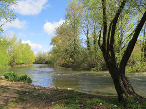 L'itinerari del Ter. Ruta seguint el curs del riu Ter des del pont de la Barca fins el Pont Major