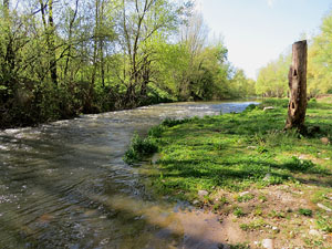 L'itinerari del Ter. Ruta seguint el curs del riu Ter des del pont de la Barca fins el Pont Major