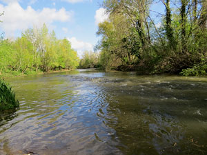 L'itinerari del Ter. Ruta seguint el curs del riu Ter des del pont de la Barca fins el Pont Major