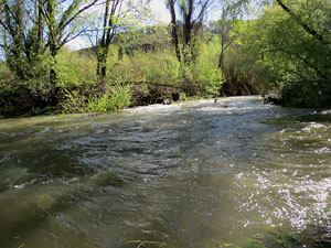 L'itinerari del Ter. Ruta seguint el curs del riu Ter des del pont de la Barca fins el Pont Major
