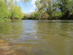 L'itinerari del Ter. Ruta seguint el curs del riu Ter des del pont de la Barca fins el Pont Major