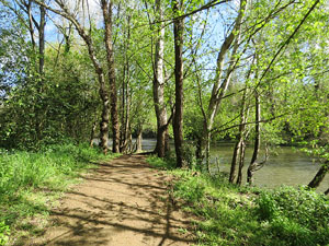 L'itinerari del Ter. Ruta seguint el curs del riu Ter des del pont de la Barca fins el Pont Major