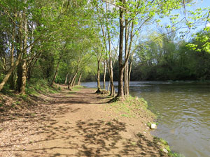 L'itinerari del Ter. Ruta seguint el curs del riu Ter des del pont de la Barca fins el Pont Major