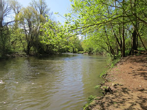 L'itinerari del Ter. Ruta seguint el curs del riu Ter des del pont de la Barca fins el Pont Major