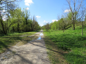 L'itinerari del Ter. Ruta seguint el curs del riu Ter des del pont de la Barca fins el Pont Major