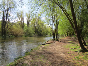 L'itinerari del Ter. Ruta seguint el curs del riu Ter des del pont de la Barca fins el Pont Major