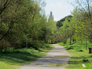 L'itinerari del Ter. Ruta seguint el curs del riu Ter des del pont de la Barca fins el Pont Major
