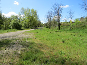 L'itinerari del Ter. Ruta seguint el curs del riu Ter des del pont de la Barca fins el Pont Major