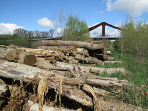 L'itinerari del Ter. Ruta seguint el curs del riu Ter des del pont de la Barca fins el Pont Major