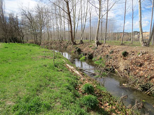 L'itinerari del Ter. Ruta seguint el curs del riu Ter del Pont Major al pont de l'Aigua