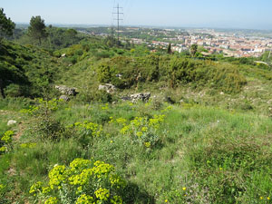 El fort dels Caputxins, a les Pedreres