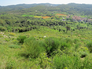 El fort dels Caputxins, a les Pedreres