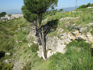 El fort dels Caputxins, a les Pedreres