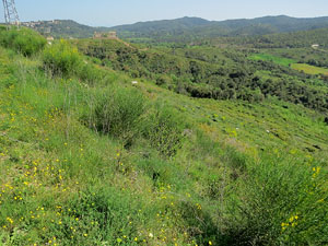 El fort dels Caputxins, a les Pedreres