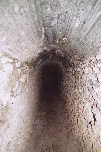 Cisterna dels Caputxins. 2005