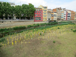 Creus grogues a la llera de l'Onyarm coincidint amb Temps de Flors 2018