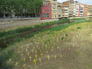 Creus grogues a la llera de l'Onyarm coincidint amb Temps de Flors 2018