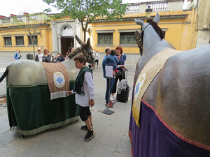 Festes de Primavera de Girona 2018. Passejada de mulasses amb la Mula Baba i la Mula petita de Girona, amb la Mulassa i la Somera de Falset