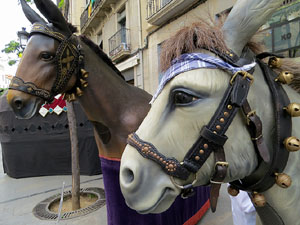 Festes de Primavera de Girona 2018. Passejada de mulasses amb la Mula Baba i la Mula petita de Girona, amb la Mulassa i la Somera de Falset
