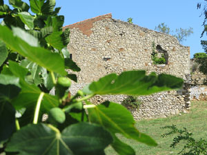 El castell de Montjuïc de Girona