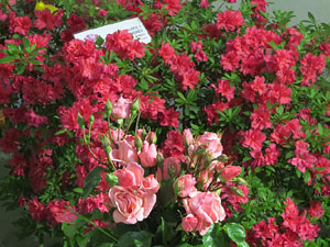 Temps de Flors 2018. Muntatges i instal&middot;lacions florals als diversos espais de l'Esgl&eacute;sia dels Dolors