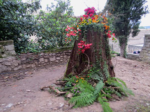 Temps de Flors 2018. Muntatges florals als Jardins del Campaner