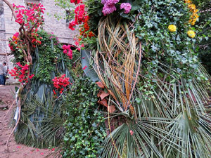 Temps de Flors 2018. Muntatges florals als Jardins del Campaner