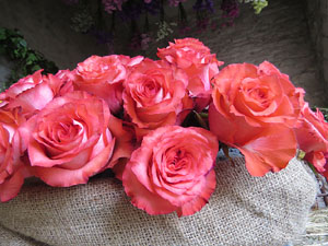 Temps de Flors 2018. Muntatges florals als Jardins del Campaner